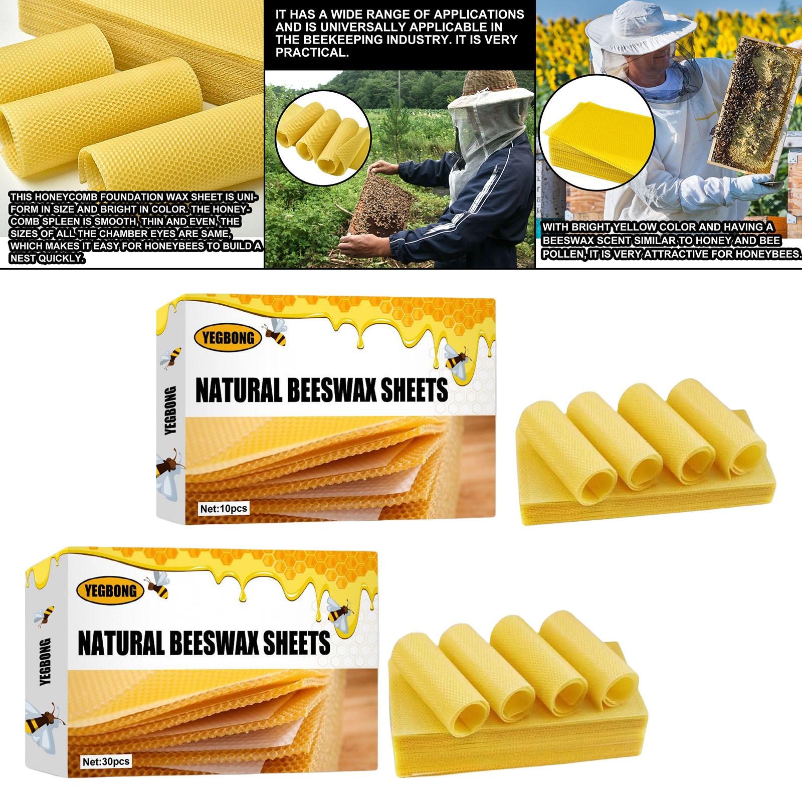 Beeswax Sheets, Beekeeping Fou - Candle Making Kit 评论和价格